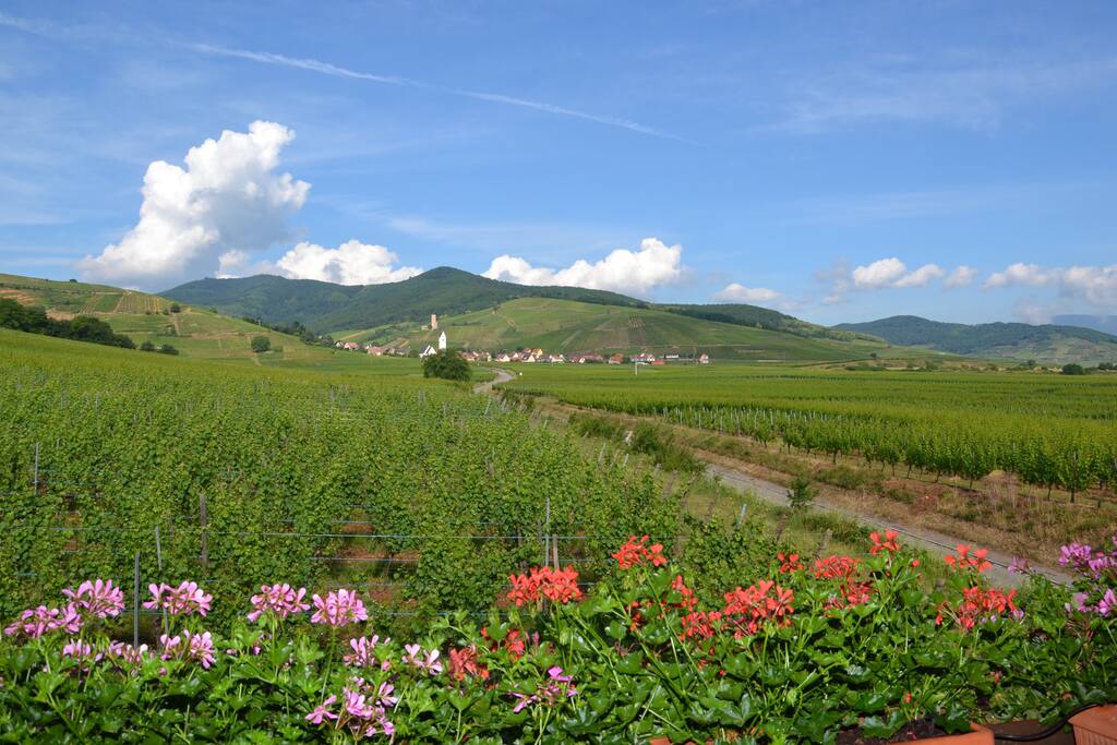 vue du balcon