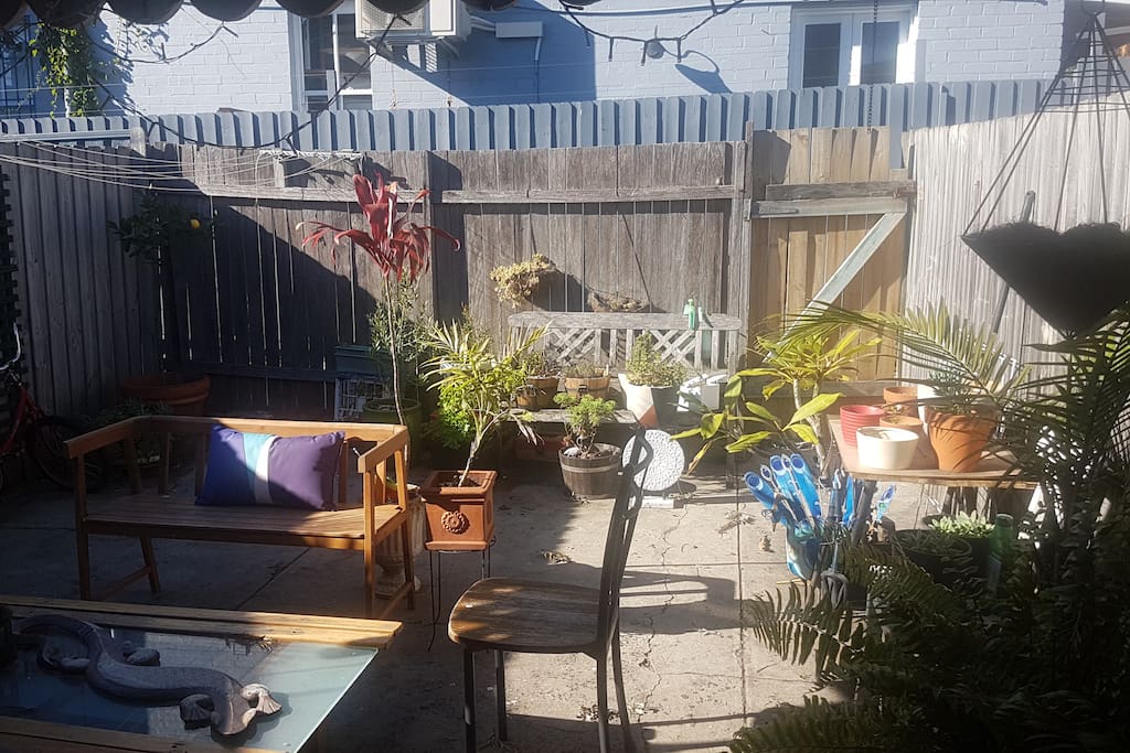 Chillin in the yard..