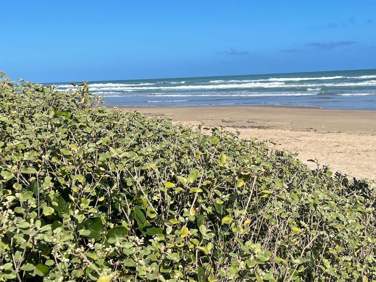 A patch of green vegetation is visible in the foreground, leading to an expanse of sandy beach and gentle waves in the background. The sky appears clear and blue, highlighting the vastness of the ocean and inviting atmosphere.