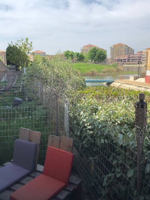 Jardinet vue sur vasque