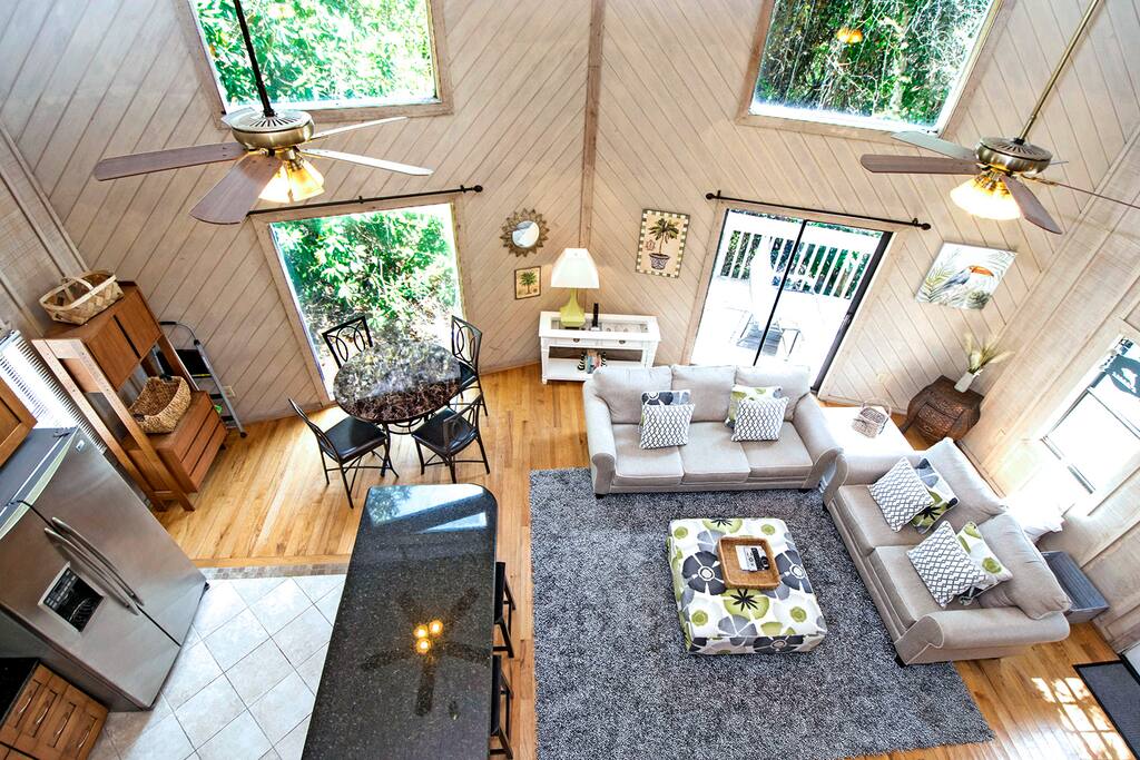 Windows from Top to Bottom! Tree Top