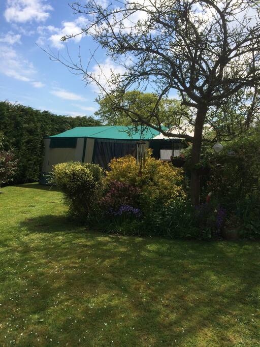 View of tent spot in the garden