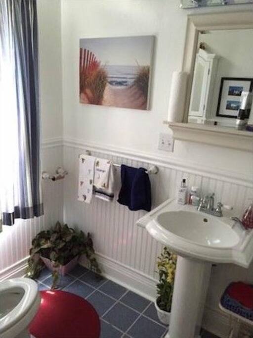 Main floor bathroom with shower stall