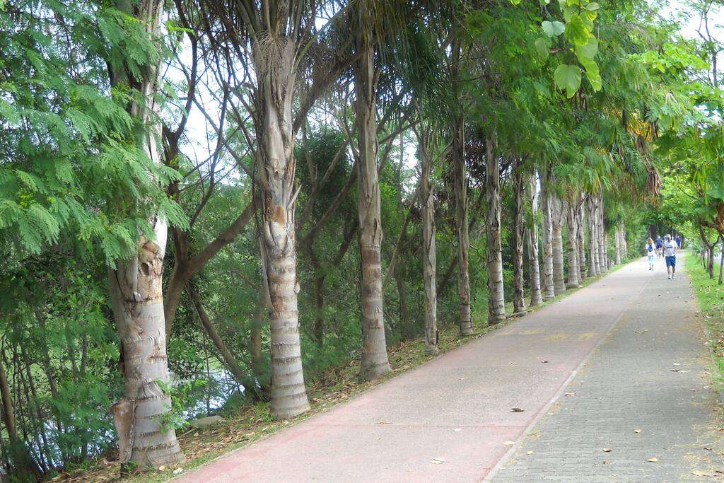 Pista para caminhada e ciclovia ao longo do Canal de Marapendi