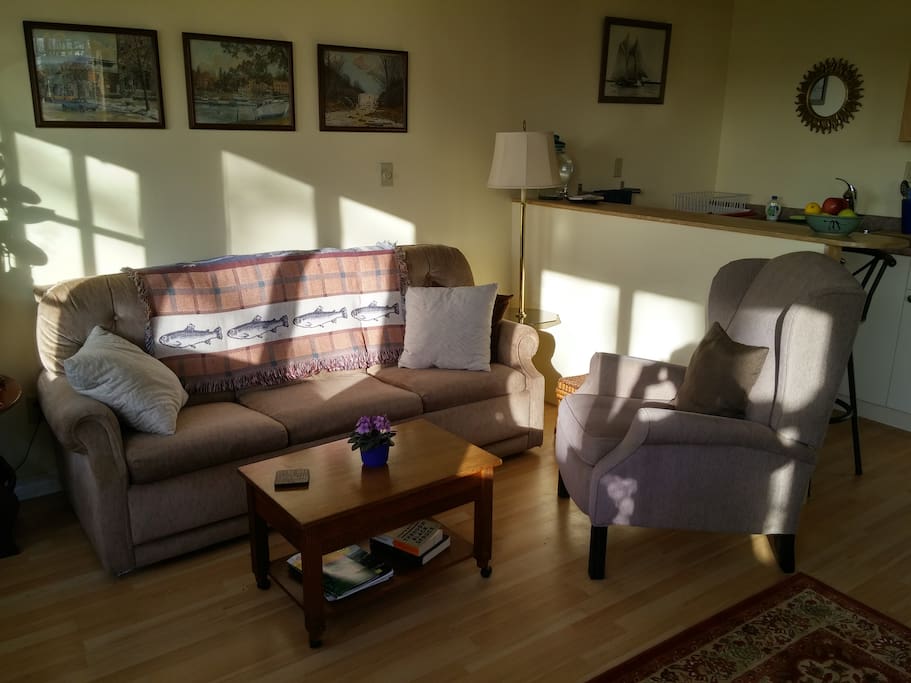 Great natural lighting makes sitting area cozy and comfortable.