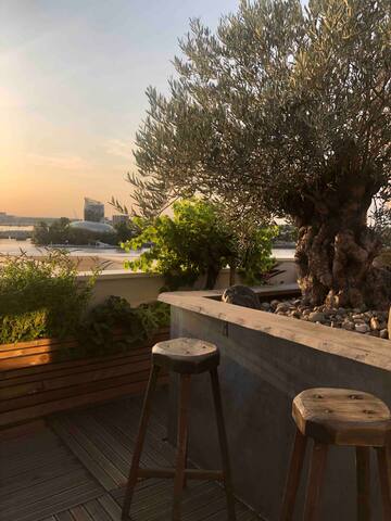 Super penthouse vue Garonne avec jacuzzi gallery image 2