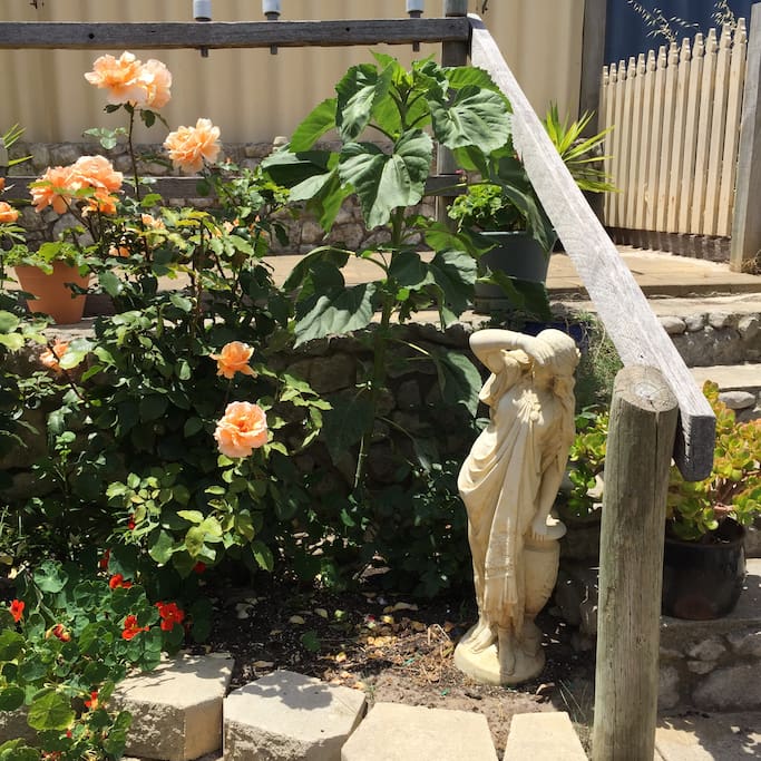 Lady in the garden