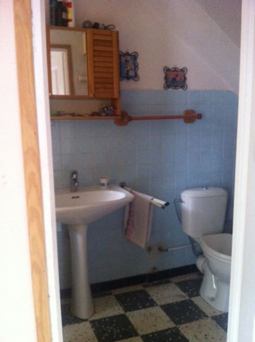 SALLE DE BAINS LUMINEUSE DOUCHE LAVABO WC