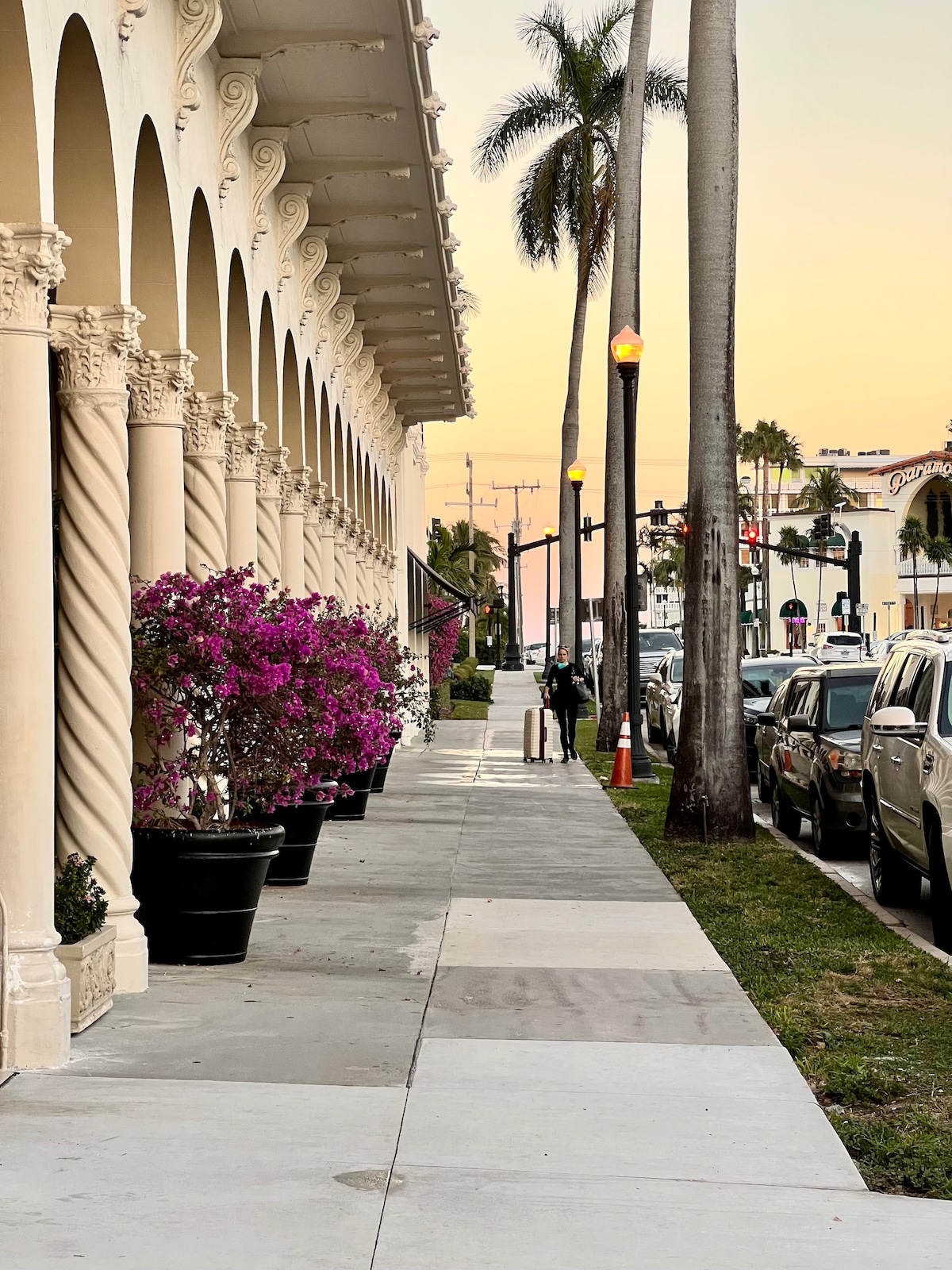 A tree-lined sidewalk is flanked by charming architectural columns, with flower pots featuring vibrant pink bougainvillea adding color. Palm trees sway gently along the path, while streetlights illuminate the area as evening approaches. Parked cars line the street, contributing to a lively urban scene.