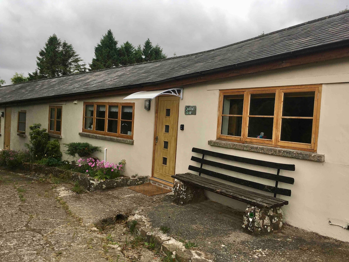The exterior of a rustic building features a light-colored facade with multiple large, wooden-framed windows. A simple black bench is positioned on a stone path, surrounded by small flower beds. A welcoming front door is visible, accentuated by an overhead awning.