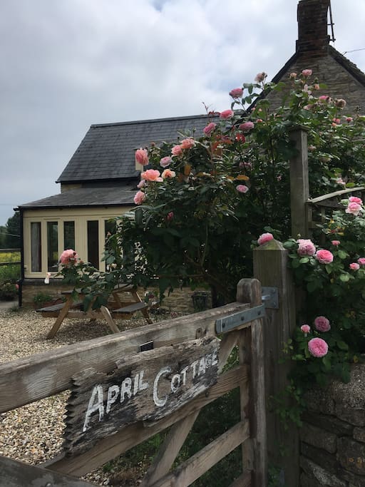 The entrance to the cottage and the annexe