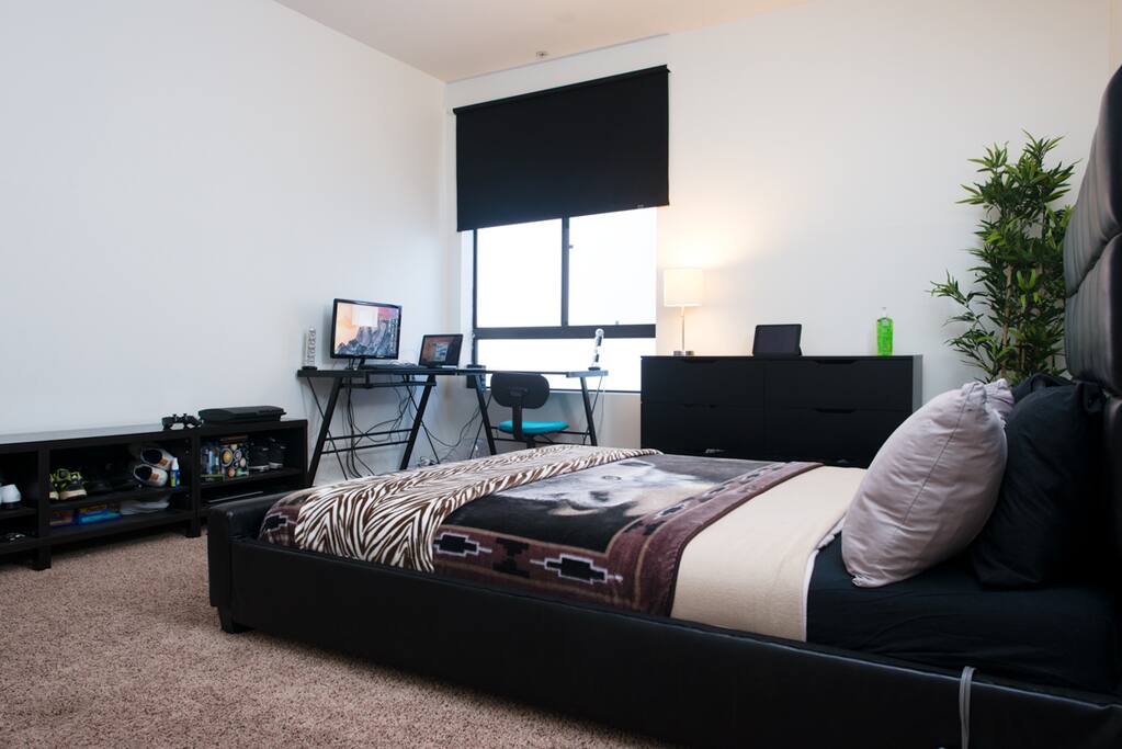 Desk / window with modern blind / plant