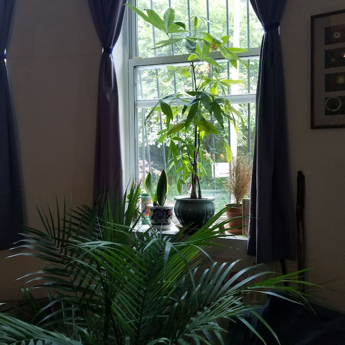"John and Kelsey were kind, friendly hosts and attentive to our needs. They have a very beautiful apartment in a great neighborhood."
- Alisa, New York, NY
June 2017