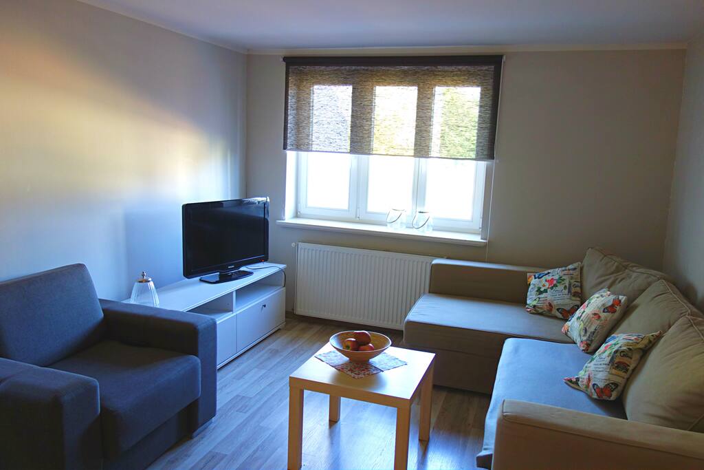 pokój dzienny - TV / living room - TV