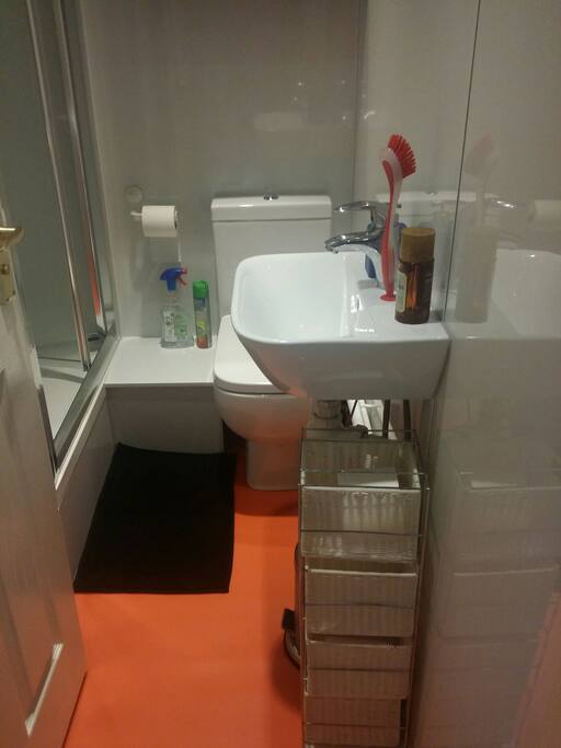 shower room and toilet