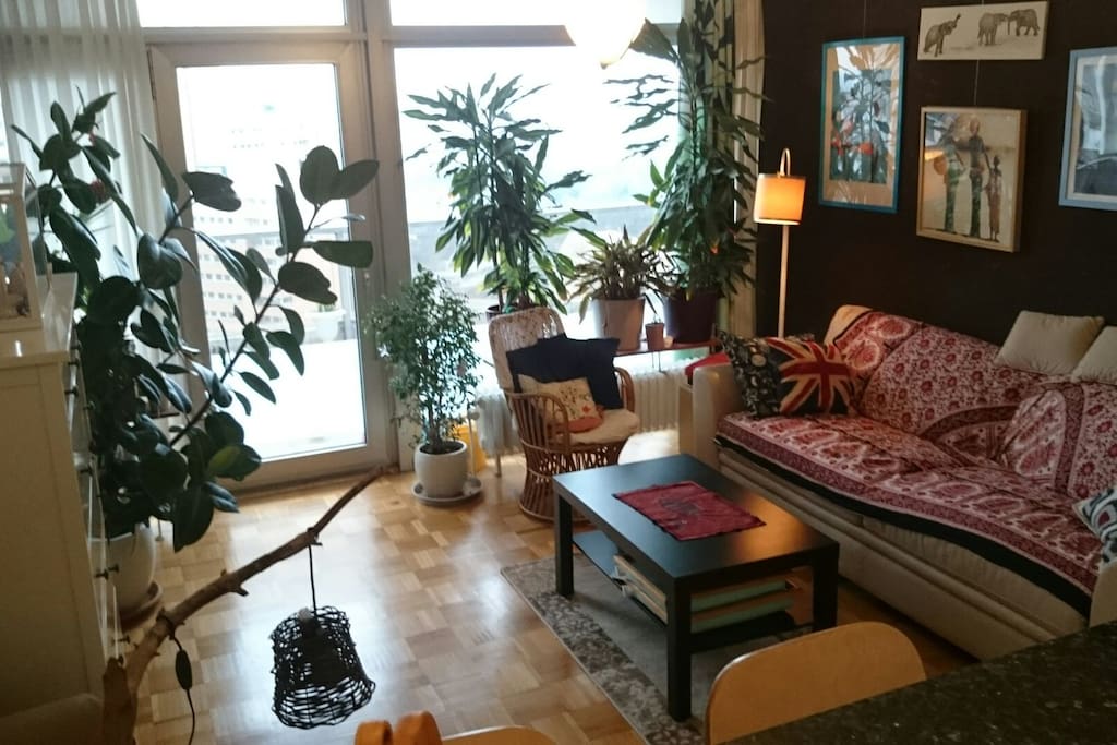 Modern jungle living :)