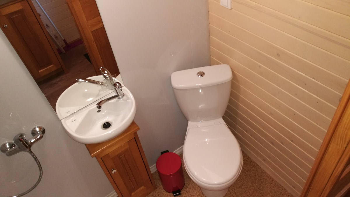 A small bathroom area features a modern toilet and a compact sink with a faucet. Light wooden paneling surrounds the space, complemented by a wooden cabinet. A red waste bin adds a splash of color, and the flooring is finished with a neutral surface.