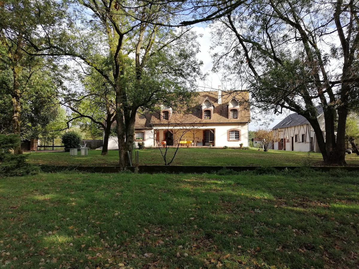 A charming property is set within a grassy area surrounded by trees. The two-story house features a thatched roof and a spacious front porch, with large windows offering a view of the serene outdoor space.