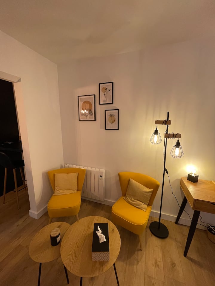 Appartement La Cour Du Lion Vieille Ville ! - Belfort