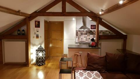 Apartment in the center of Brussels.
