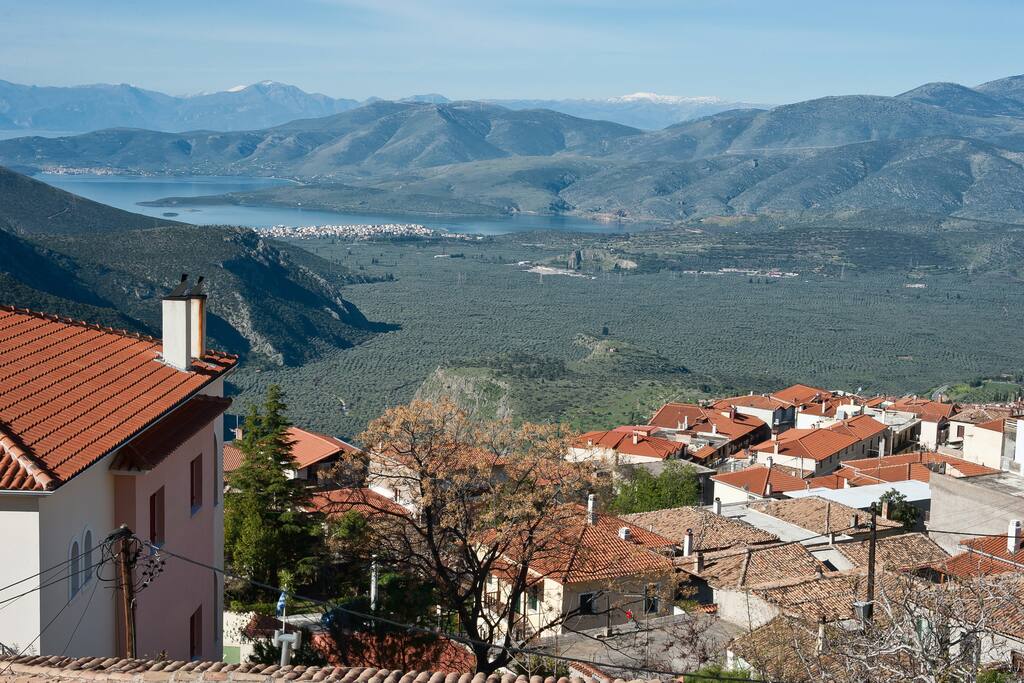 Wonderful views overlooking the traditional town of Delphi and the Olive Tree Valley!