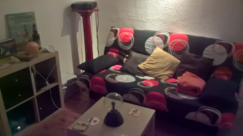 Chambre dans appartement de 80m² à Roanne centre