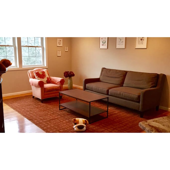 Bright, clean, and warm living room!