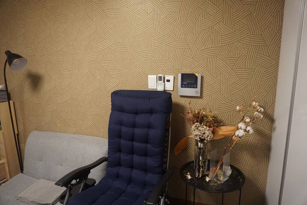 Sofa Bed and No-gravity Chair, Dry Flower