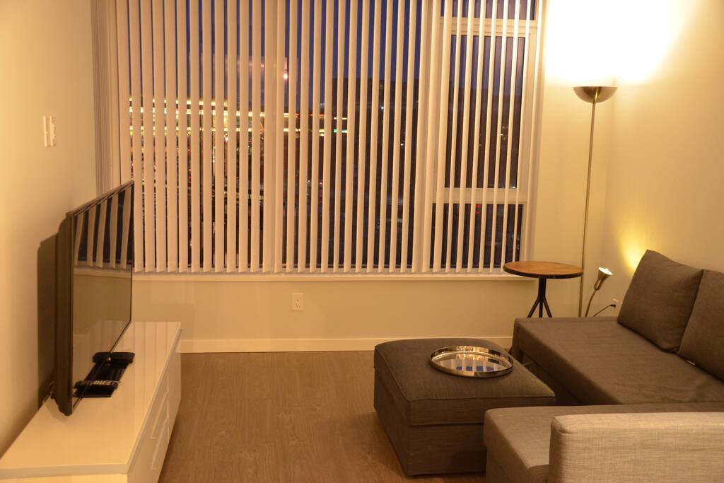 Spacy and Comfort Living Room