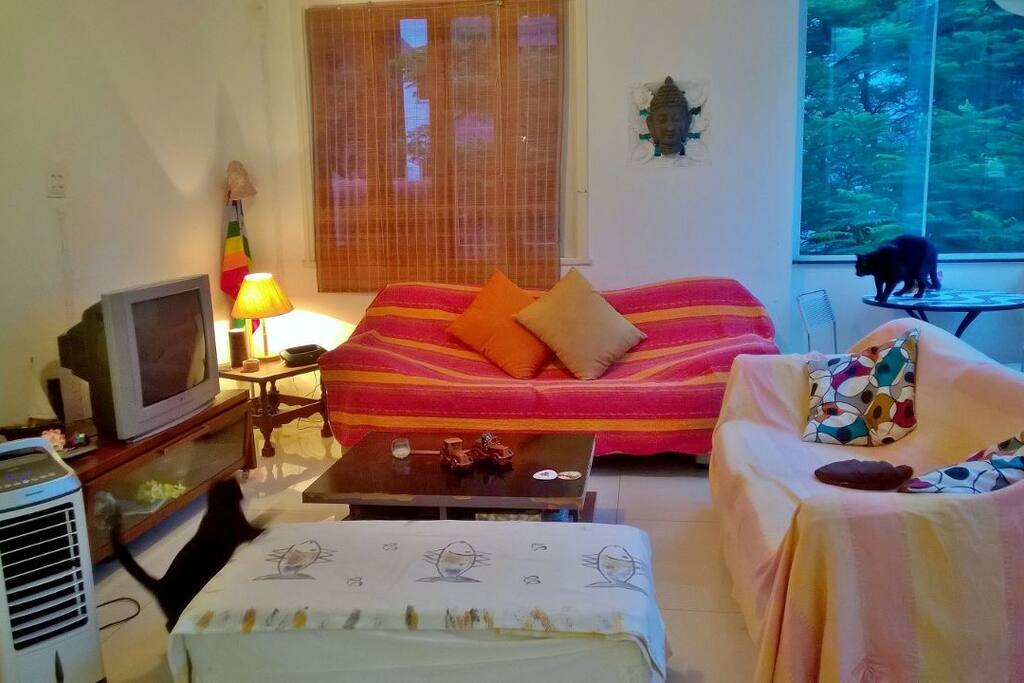 Aconchegante sala de estar.