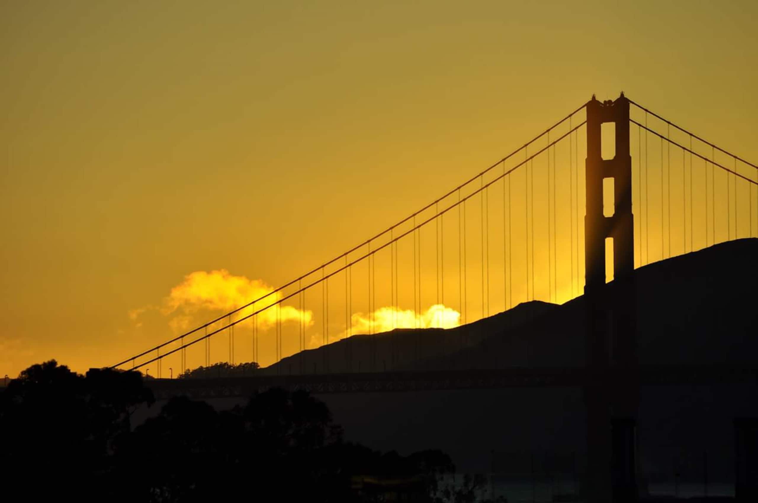 Condo in San Francisco · ★4.95 · 1 bedroom · 2 beds · 1 bath - Image 45