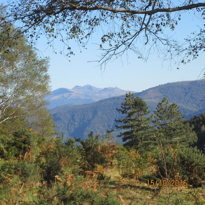 Promenade en montagne