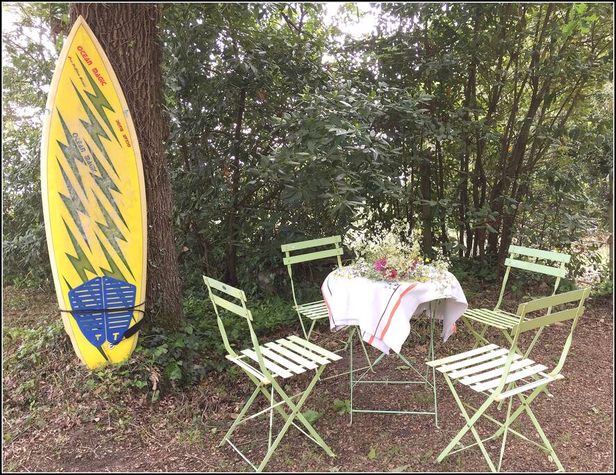 Déjeuner à l'ombre des arbres