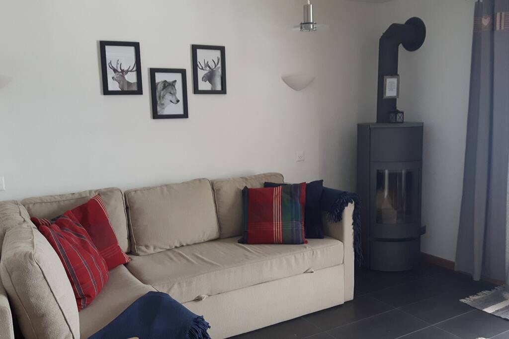Living area with fireplace