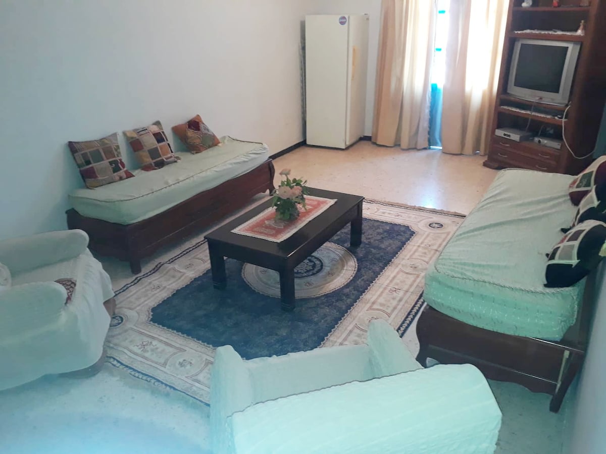 A living area features a large area rug with a decorative border, centered beneath a wooden coffee table. Two sofas with light fabric upholstery and several decorative pillows surround the table, while a small television set is positioned on a wooden cabinet. Natural light is provided by a window with sheer curtains.