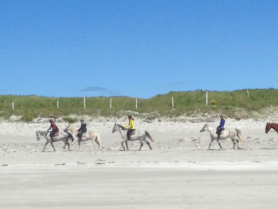 Beach Trekking at The Point 3 km away beside Connemara Golf Club