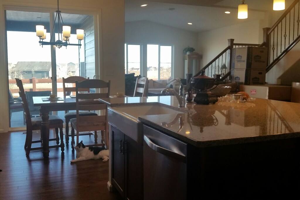Dining and Living Room from Kitchen