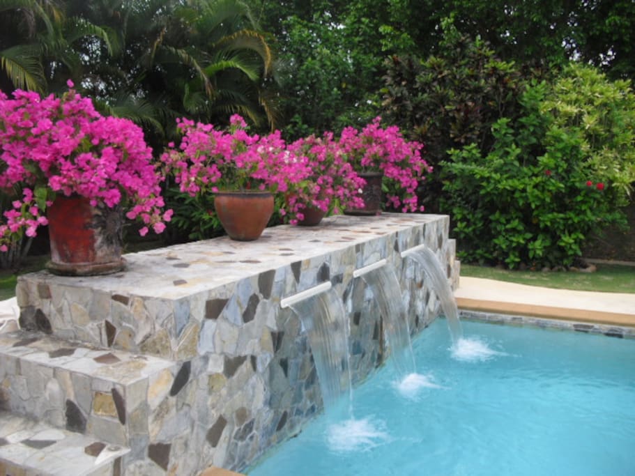 Private backyard swimming pool!