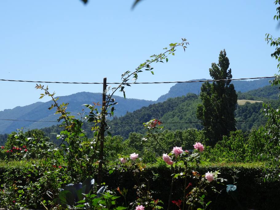 Vue sur Roche Colombe, en face de la maison