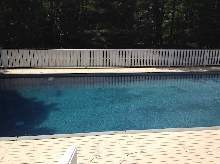 Large, private, gunite pool surrounded by foliage