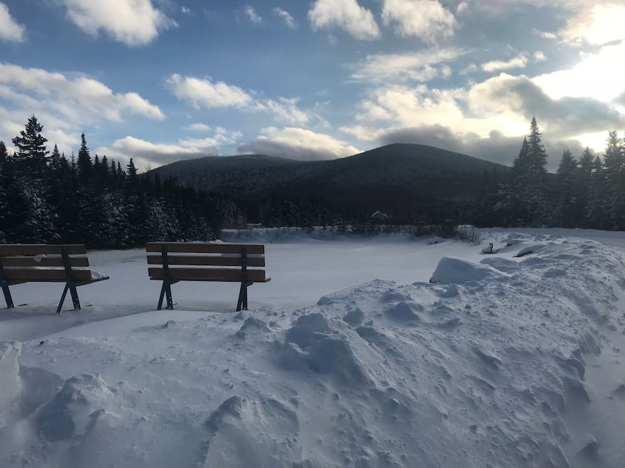 Domaine - Janvier 2018