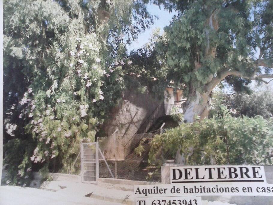 Acceso privado, por jardín a la propiedad (desde Avd. Generalitat)