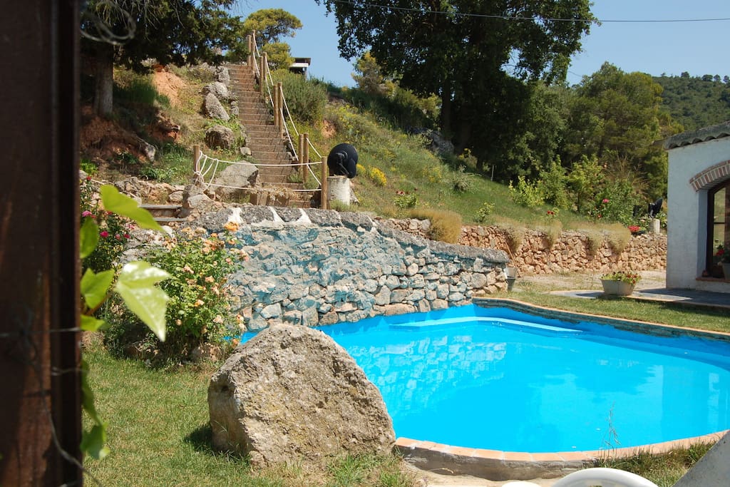 Holiday Home Swimming Pool