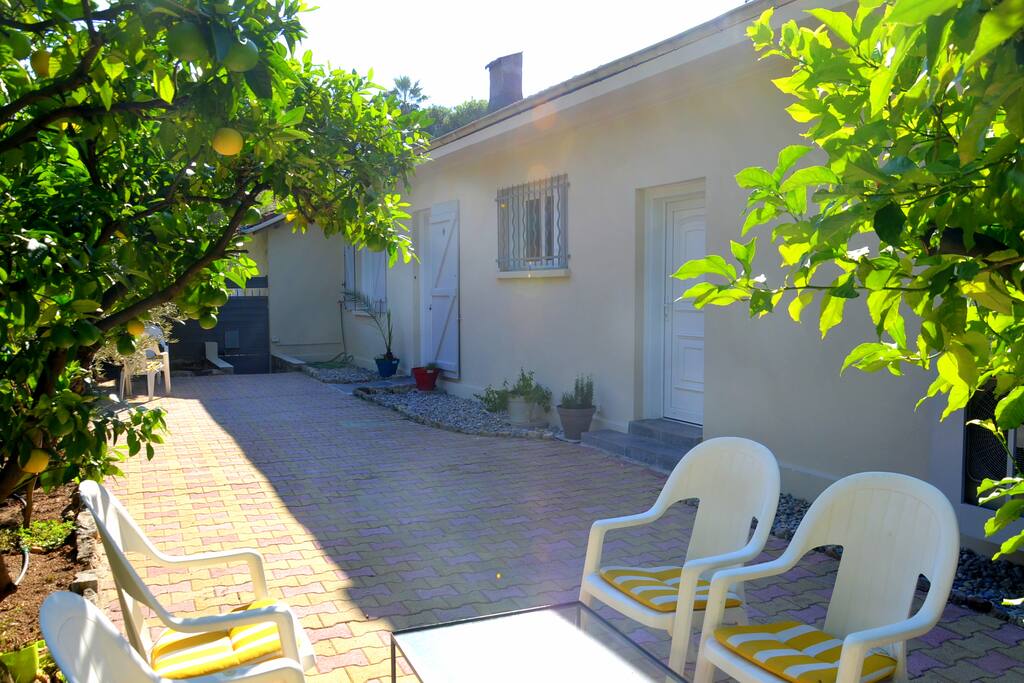 Jardin / Garden / Сад