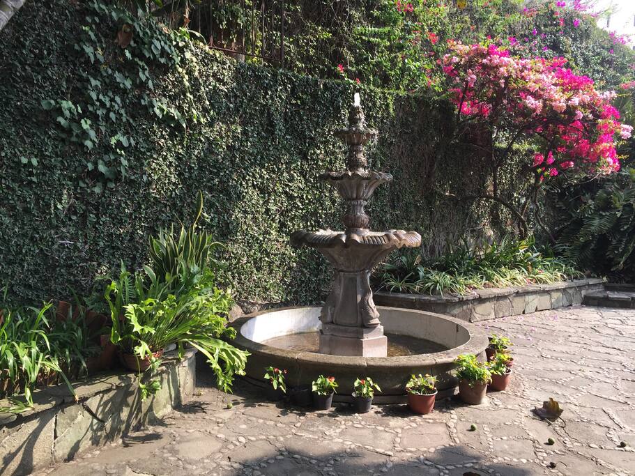 Front Courtyard