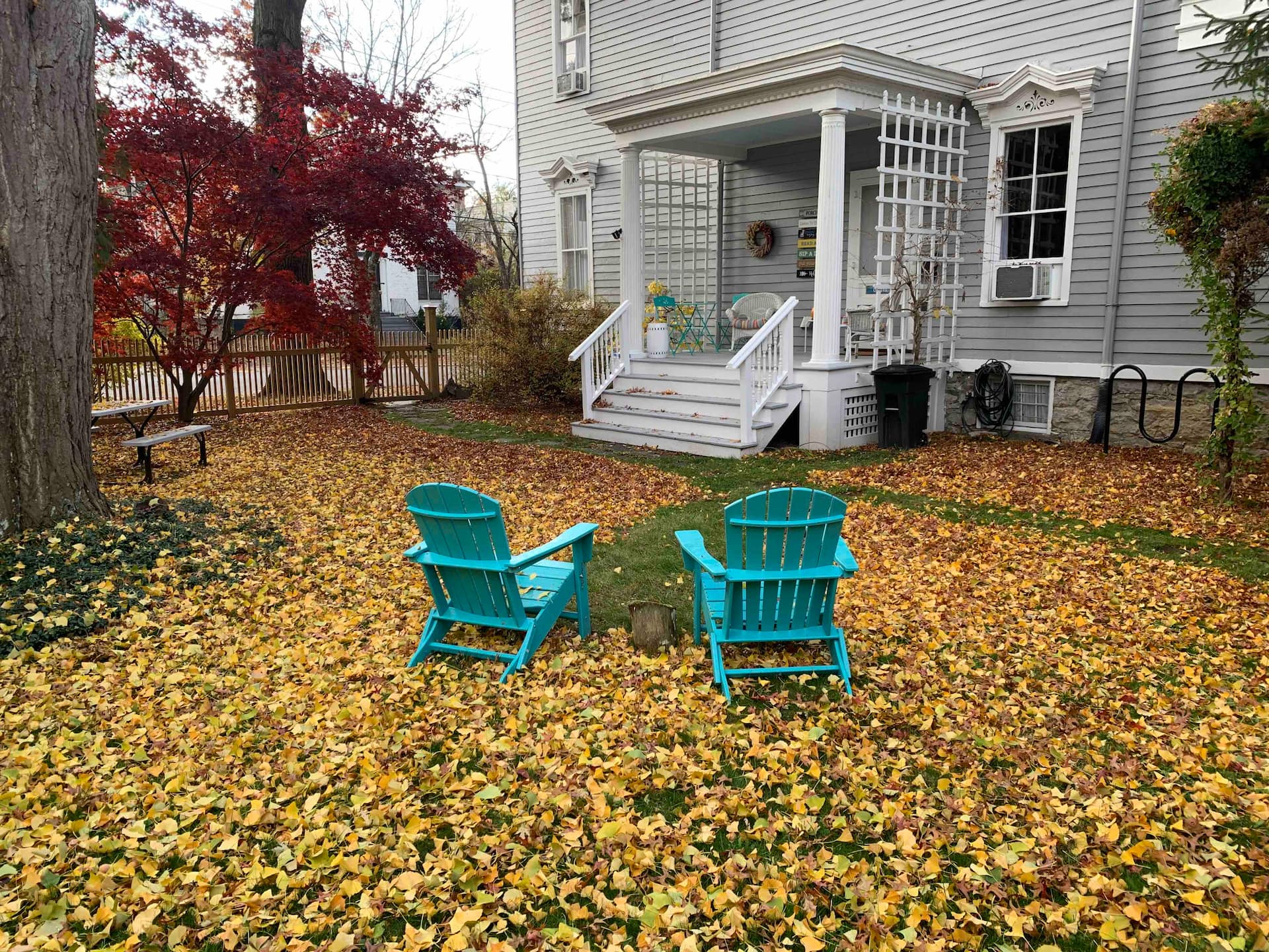 Studio Oasis nr Warren St w porch & yard