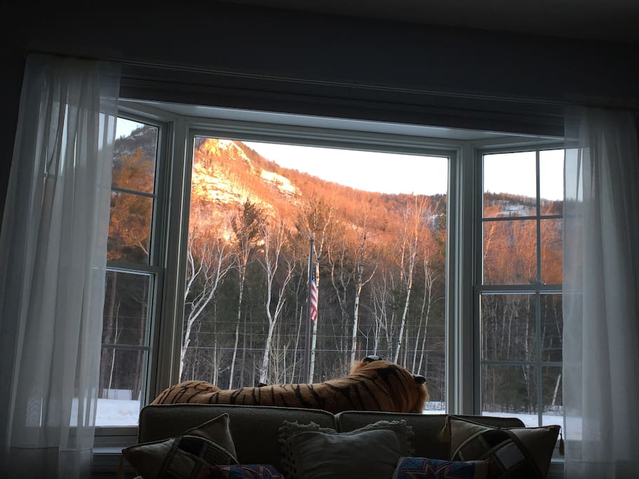 The view from the living room in Winter.