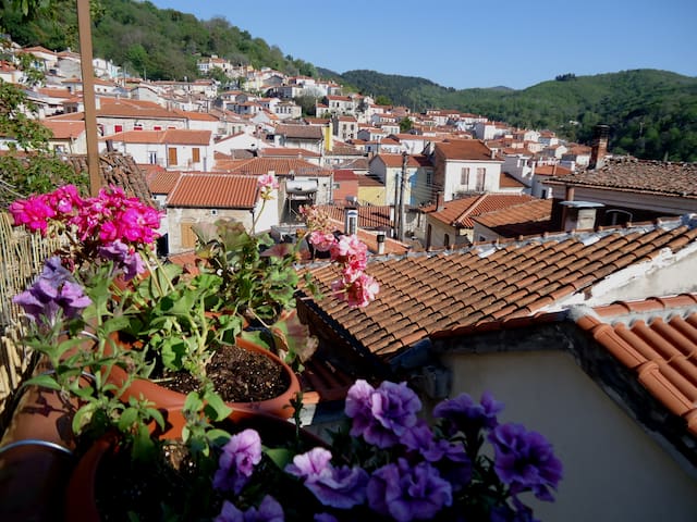 Live like a local!!!
