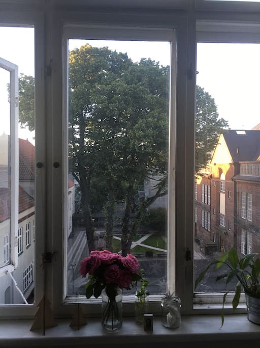 View from the room