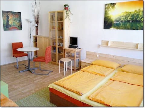 MACHEK´s apartments - apartment, central Prague